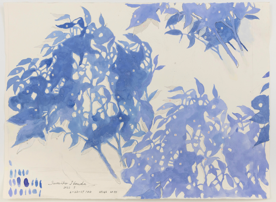 白樫の木の枝葉の揺れる影と、紫陽花の葉の影を構成したモダンなシルエット柄「フィグラーレ」。白樫は家を守る樹木としてシンボルツリーとしても植えられる木。 エバーグリーンの艶やかな葉は、光を宿しその影もまた、美しく風に揺れます