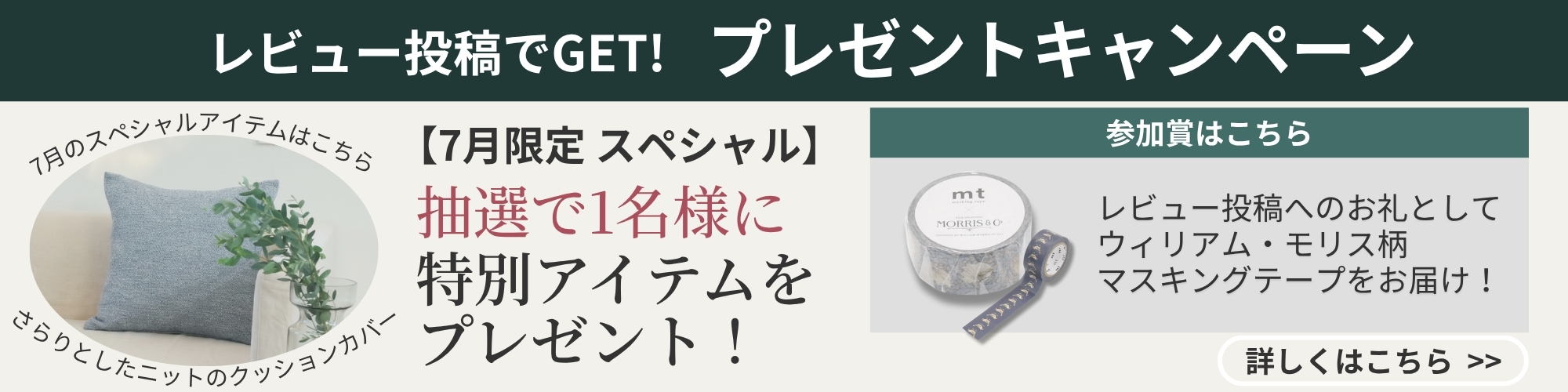 レビューキャンペーン
