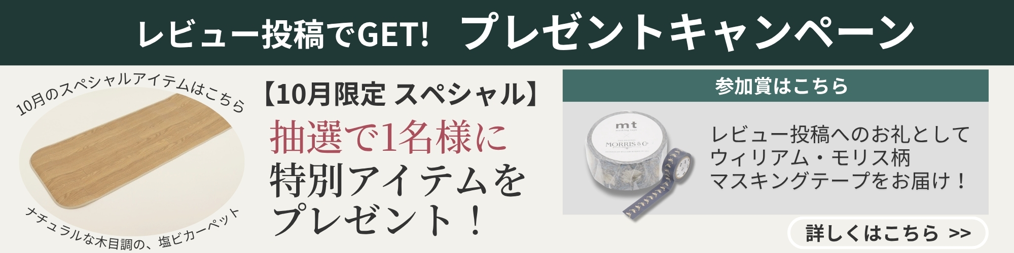 レビューキャンペーン