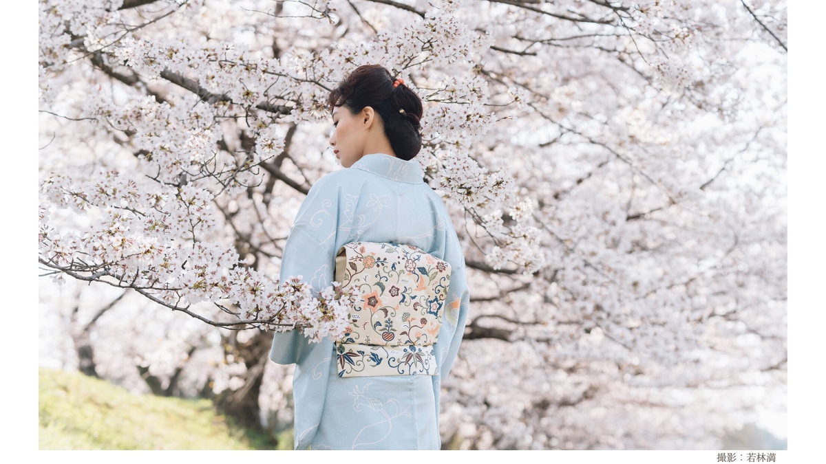 YuliatoKawashima名古屋帯