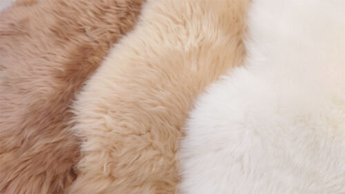 川島織物セルコン★ムートンラグ★ 公式オンラインショップにムートンが登場しました。 |【公式】川島織物