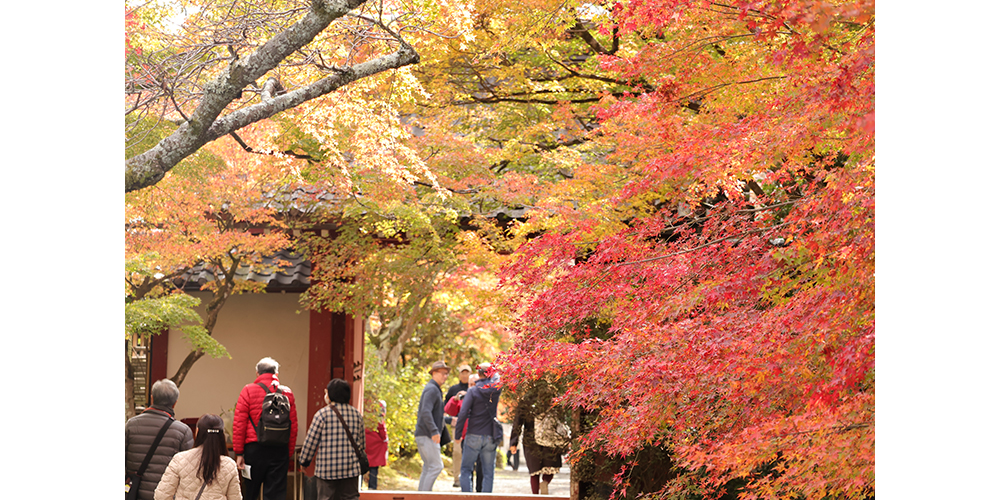 寂光山 常照寺の山門