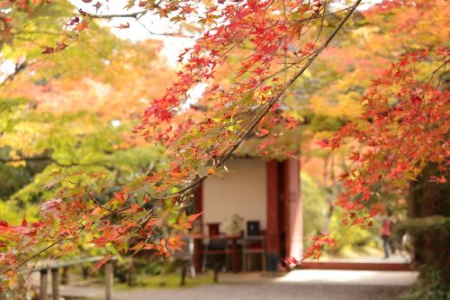【募集開始】  帯供養：帯への感謝を込めて・・・