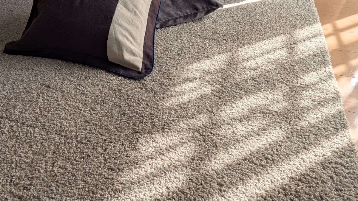 ペットとの暮らしを、もっと快適に。「ユニットラグ」という選択